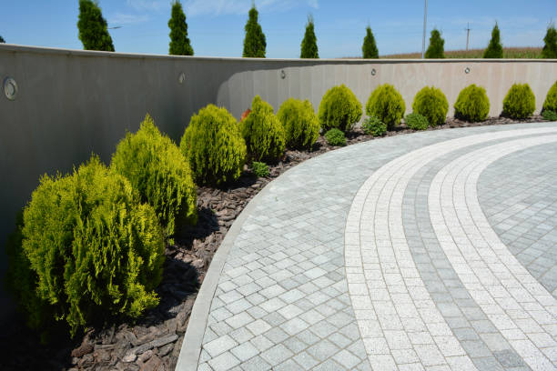 Best Best Driveway Pavers  in Rector, AR